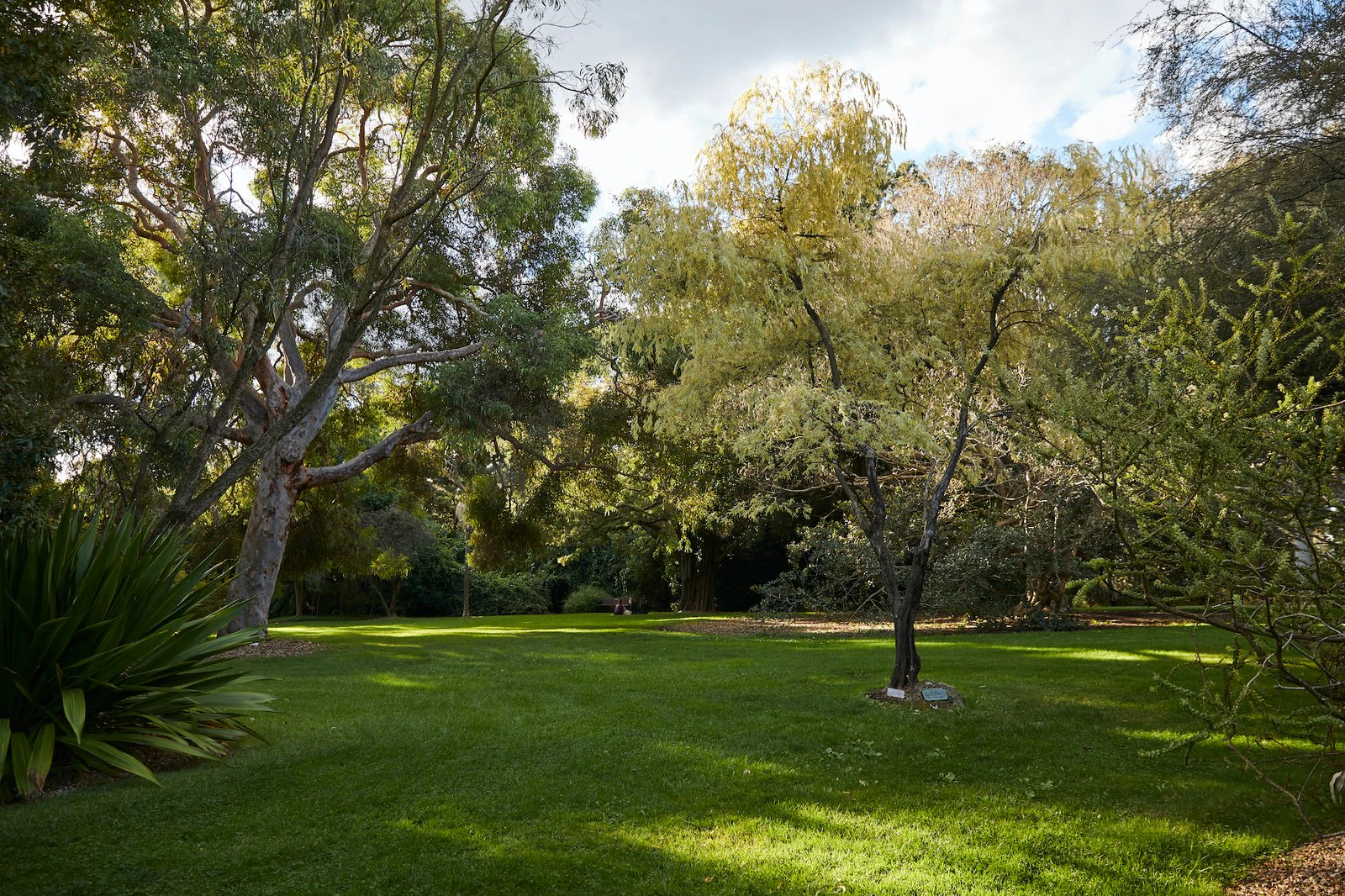 14 Henley Street, Balwyn, 3103