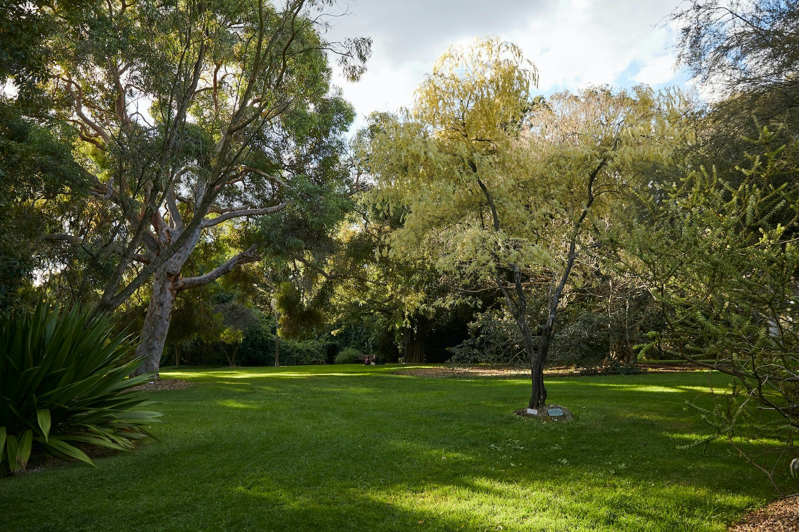 14 Henley Street, Balwyn, 3103