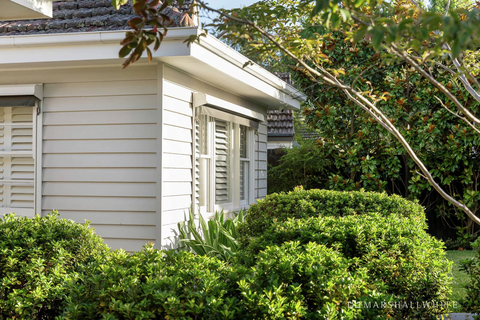 18 Moore Street, Box Hill South, 3128