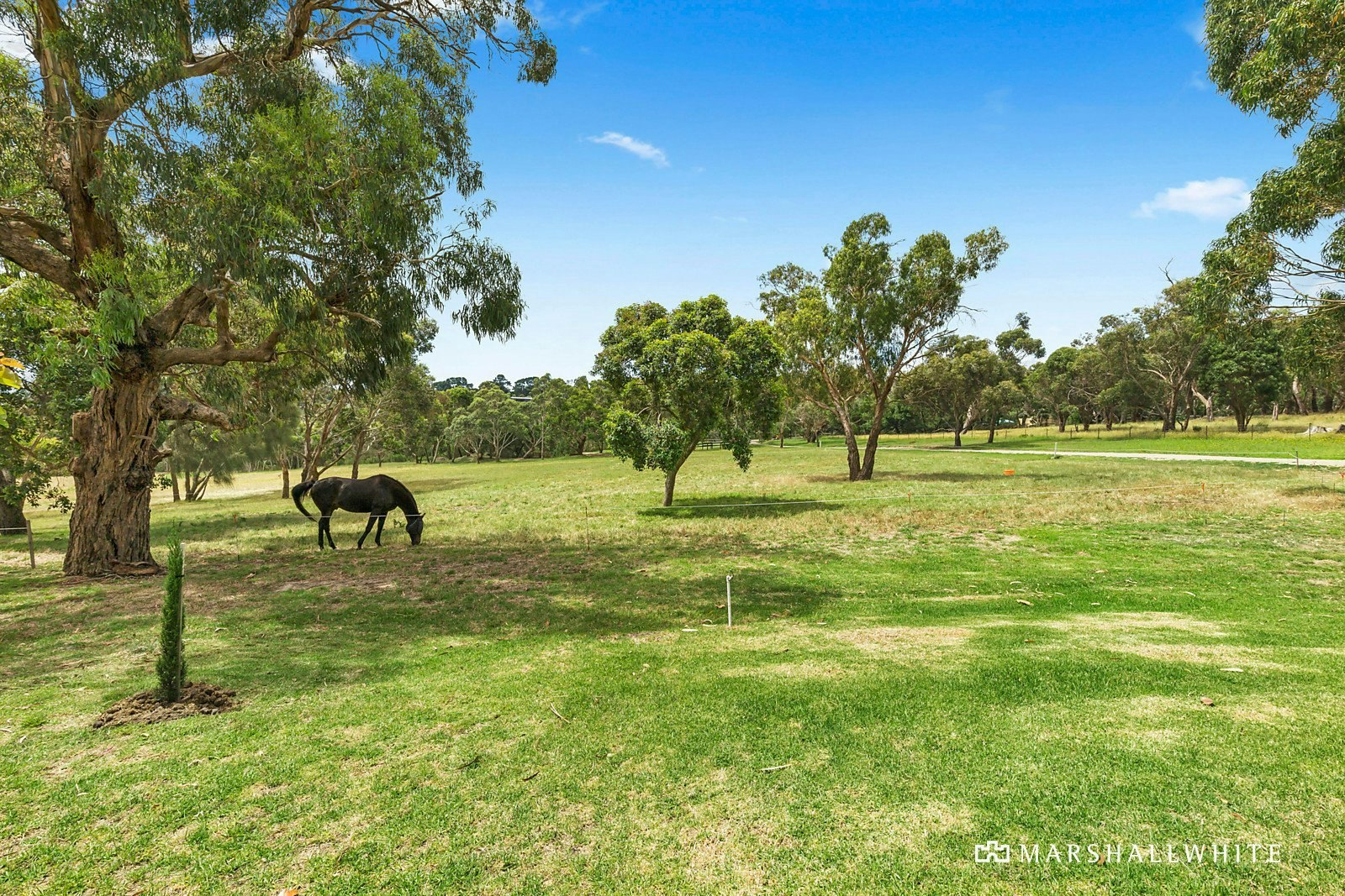 39 Hyslops Road, Main Ridge, 3928