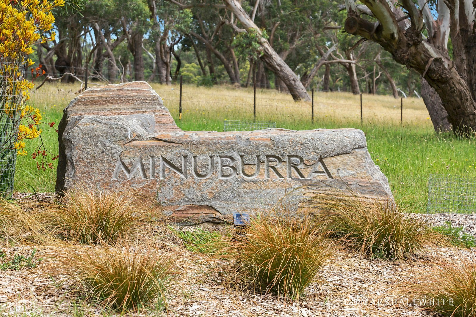 39 Hyslops Road, Main Ridge, 3928