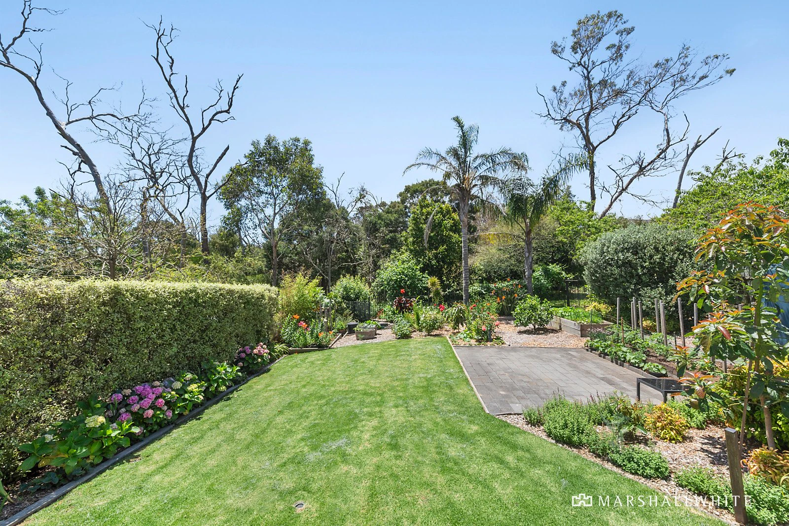 9 Mason Street, Mount Eliza, 3930