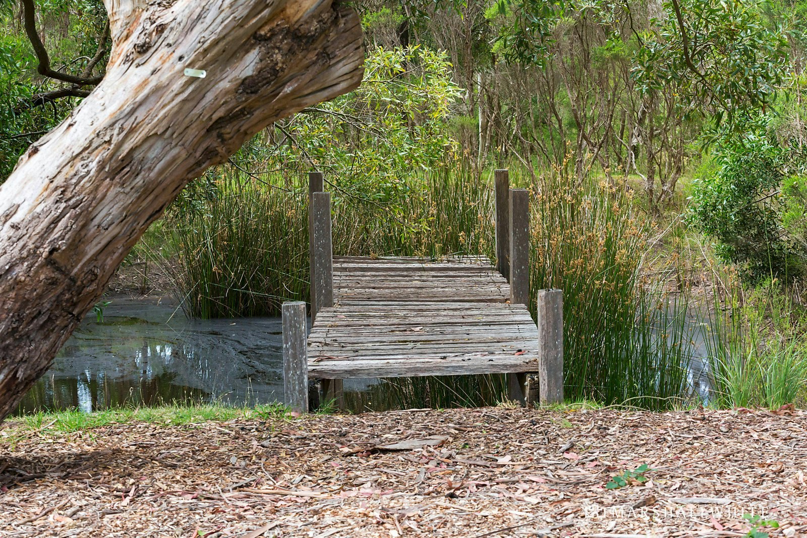 39 Hyslops Road, Main Ridge, 3928