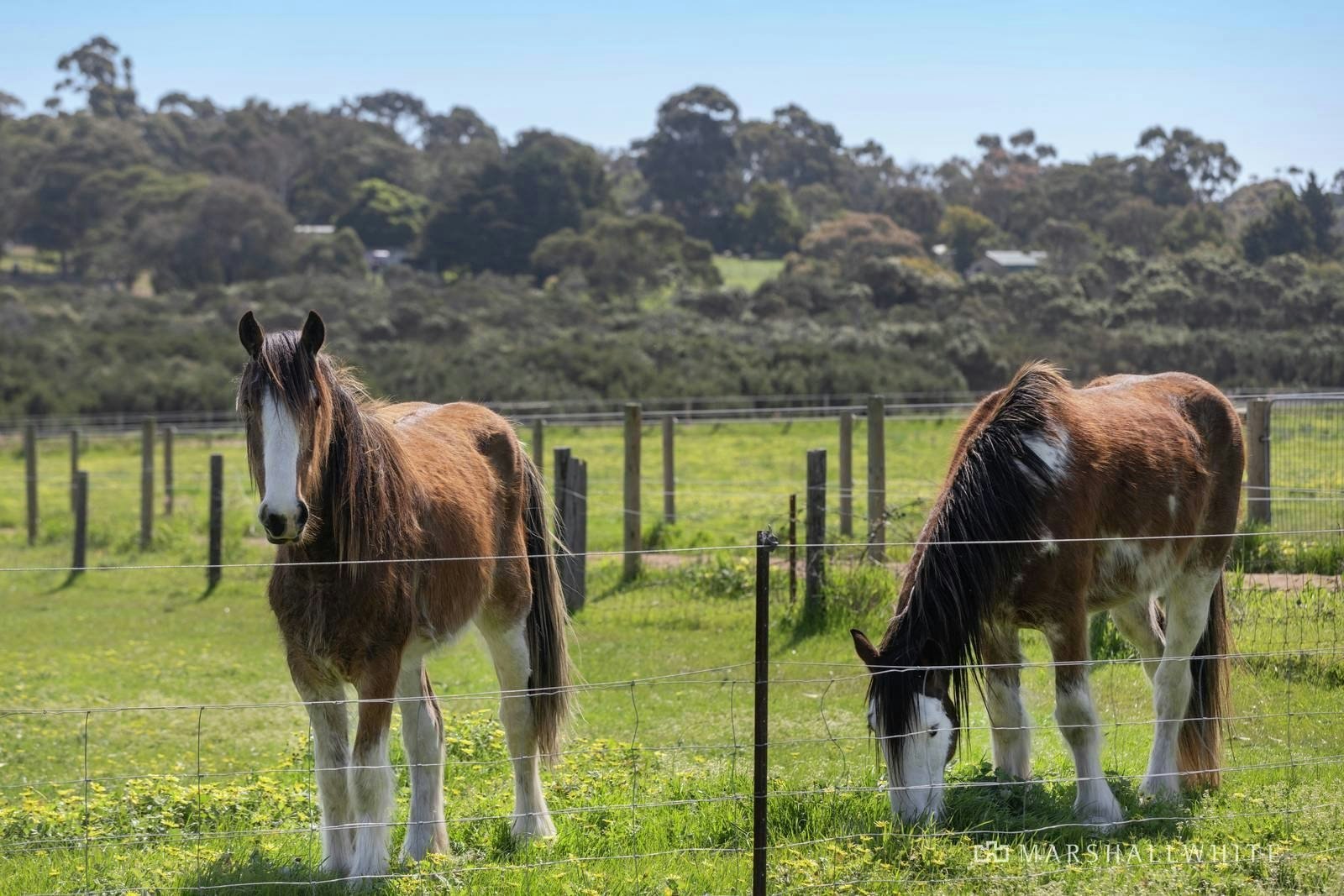 800 Moorooduc Highway, Mornington, 3931