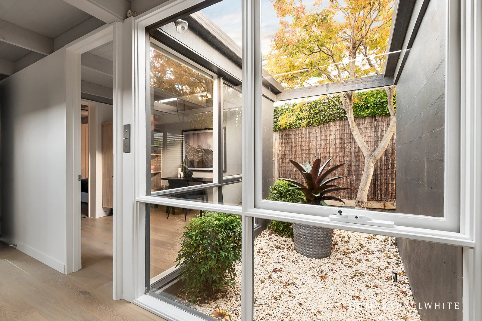 9 Plant Street, Malvern, VIC