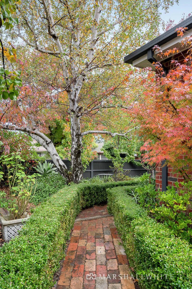57 Pascoe Street, Glen Iris, VIC