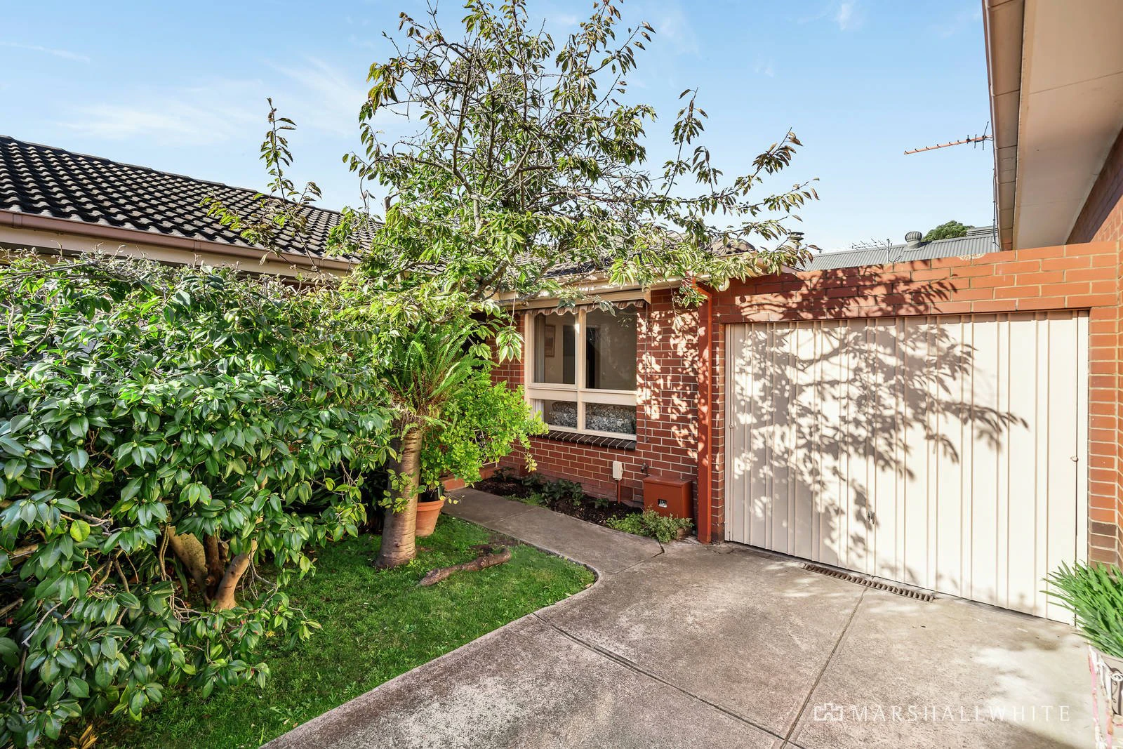 3/84 Rochester Road, Balwyn, VIC