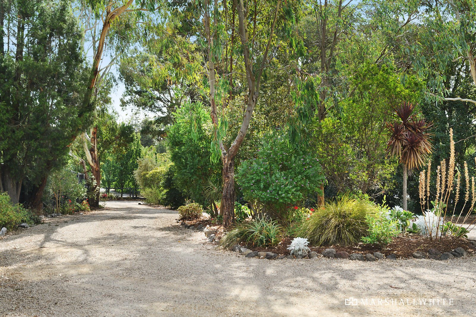 6 Falconer Road, Park Orchards, VIC