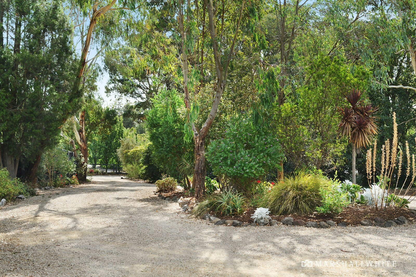 6 Falconer Road, Park Orchards, VIC