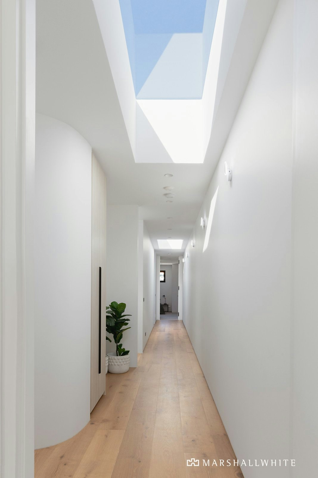 16 Campbell Street, Brighton, VIC