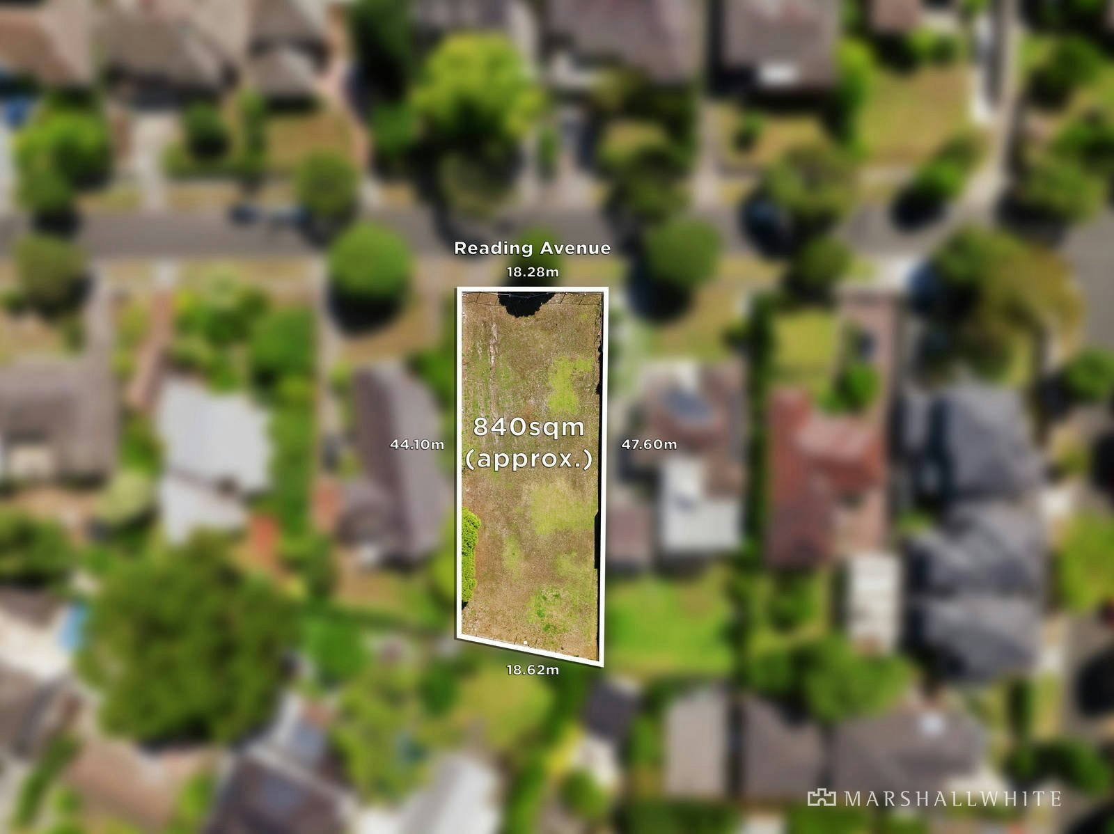 neighborhood