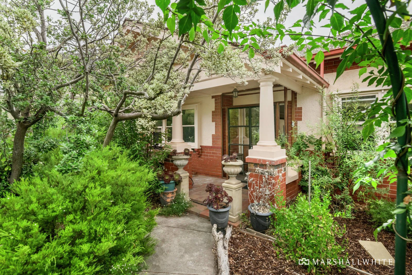 77 Halifax Street, Brighton, VIC