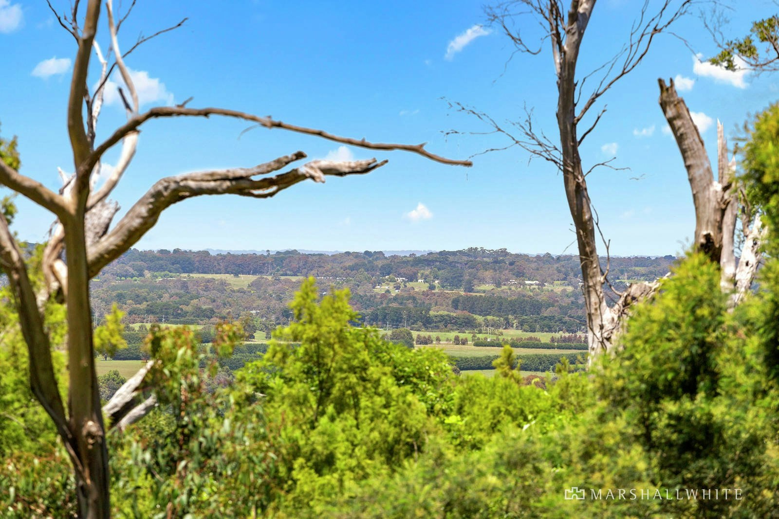 20 Winona Road, Mount Eliza, VIC