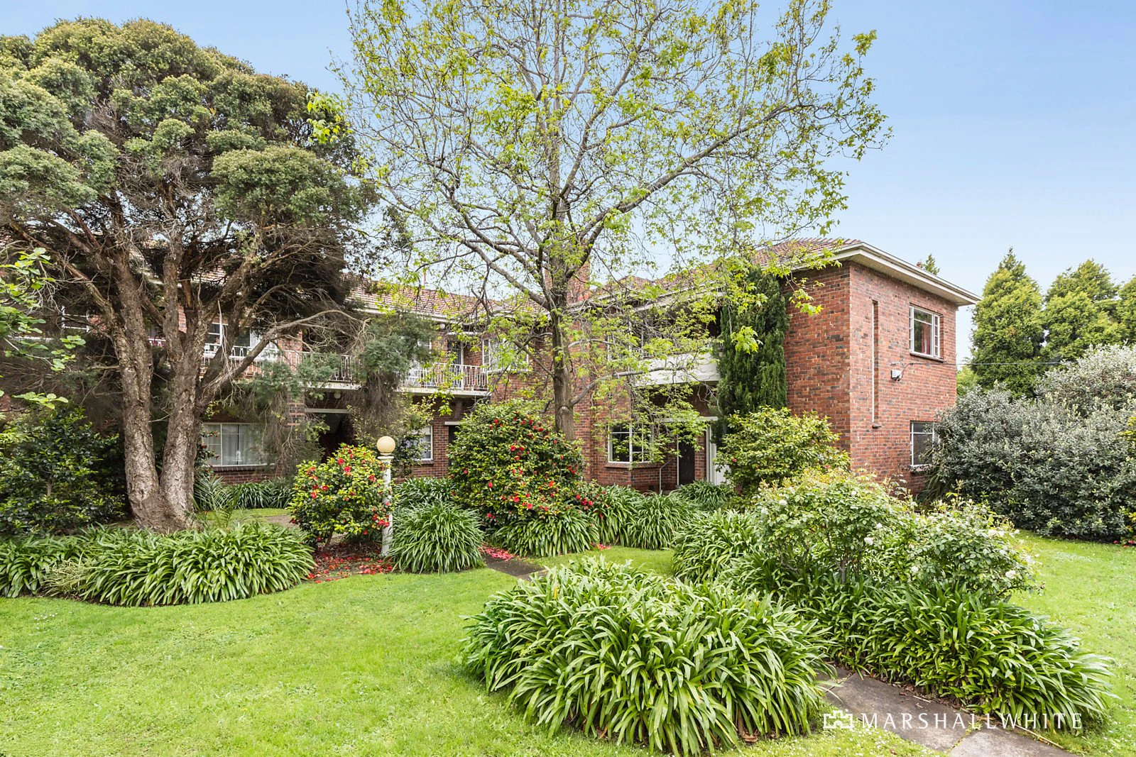 1/2 Dorgan Street, Caulfield North, VIC