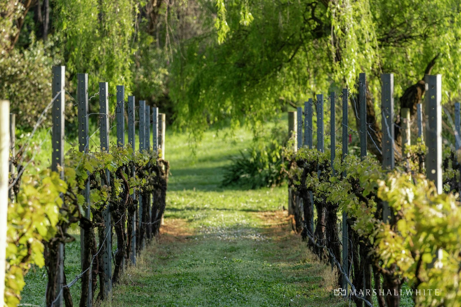 32 Coppin Grove, Hawthorn, VIC