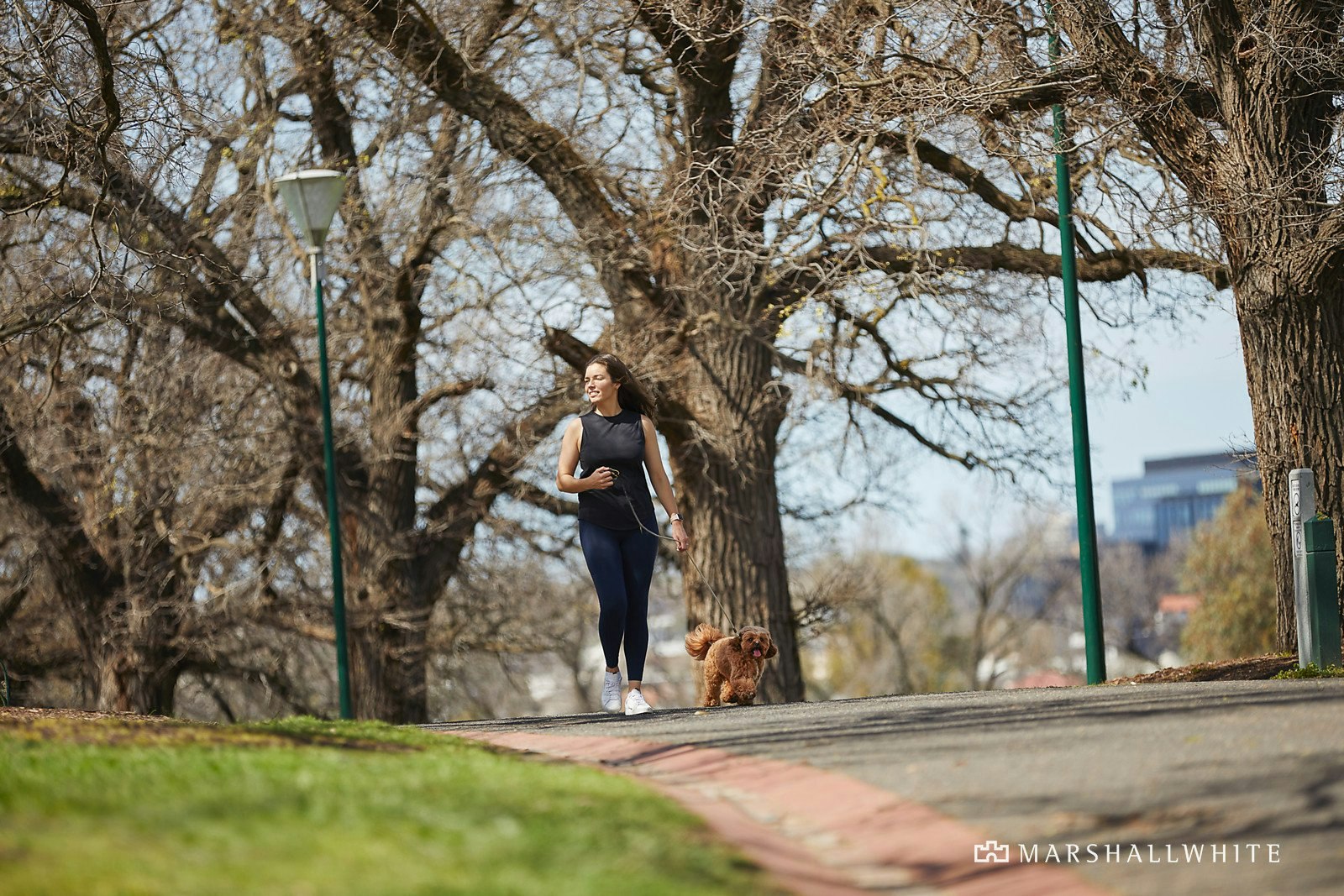 3/82 Vale Street, East Melbourne, VIC