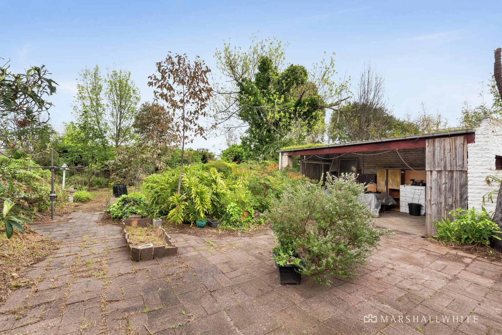24 Teddington Road, Hampton, VIC