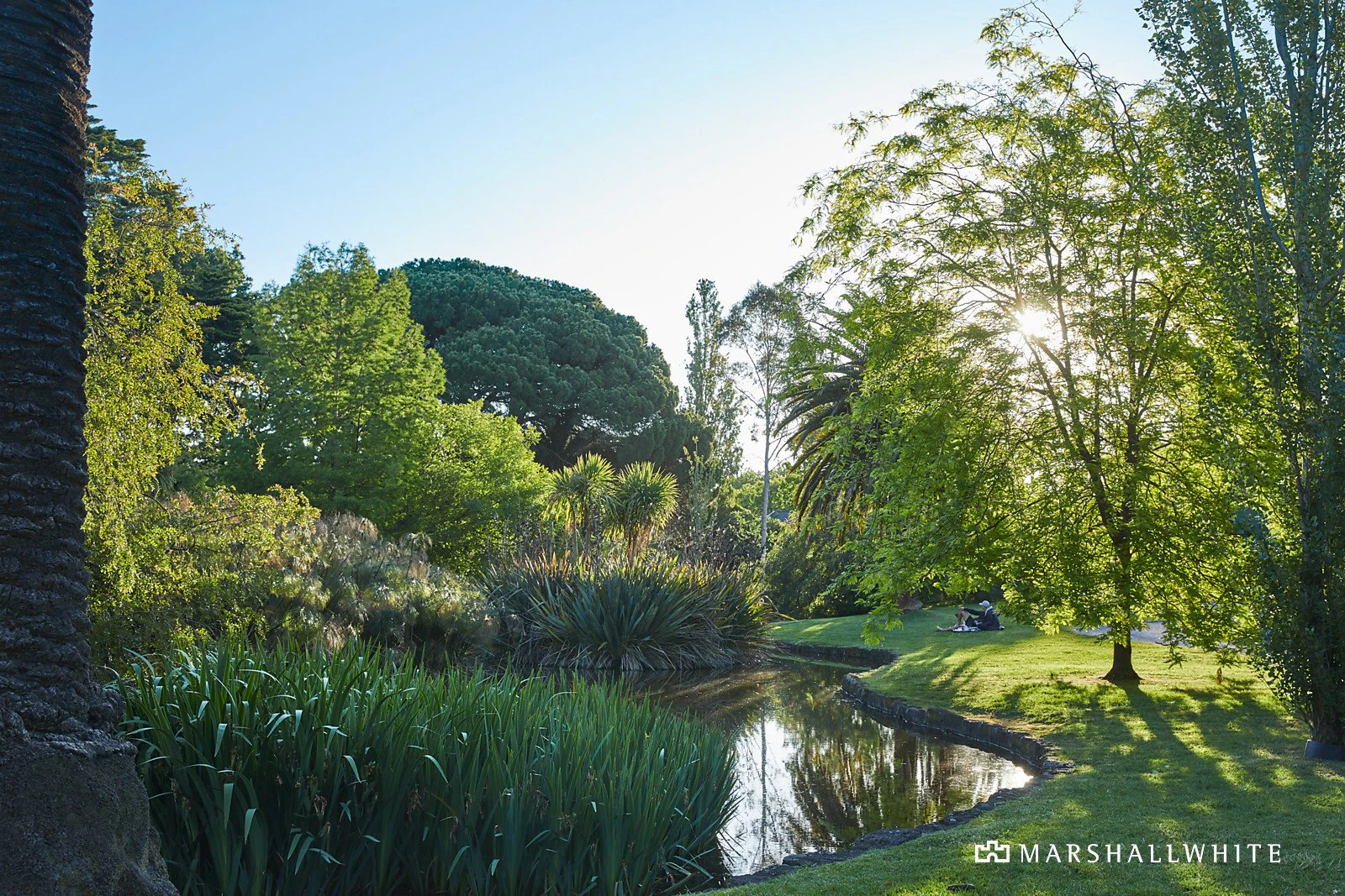 94 Manning Road, Malvern East, VIC