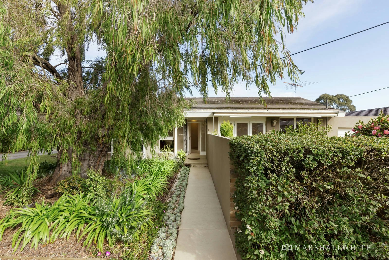 1/12 Byron Street, Brighton, VIC