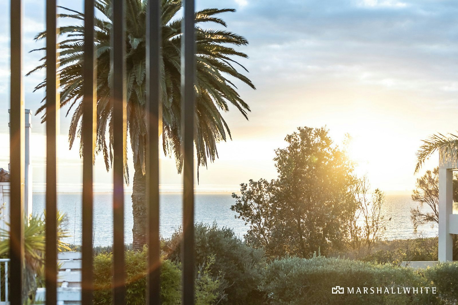 7 Cole Street, Brighton, VIC