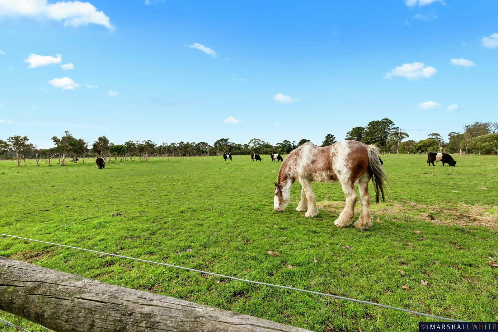 10 Bayview Road, Balnarring Beach, VIC