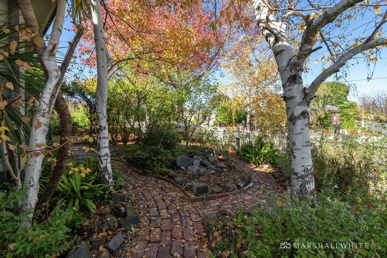 5 Essex Street, Blackburn North, VIC