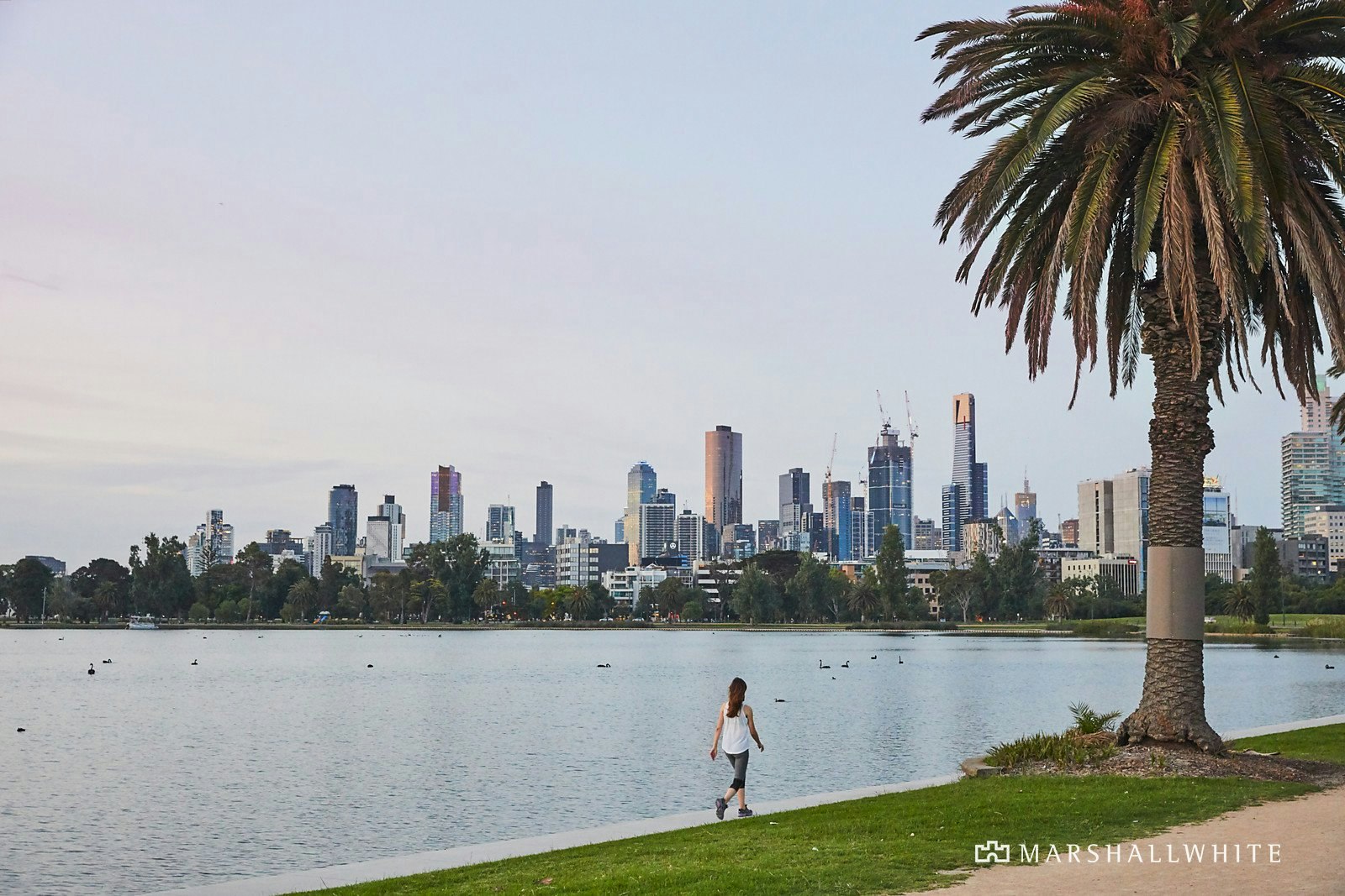 401/99 Palmerston Crescent, South Melbourne, VIC