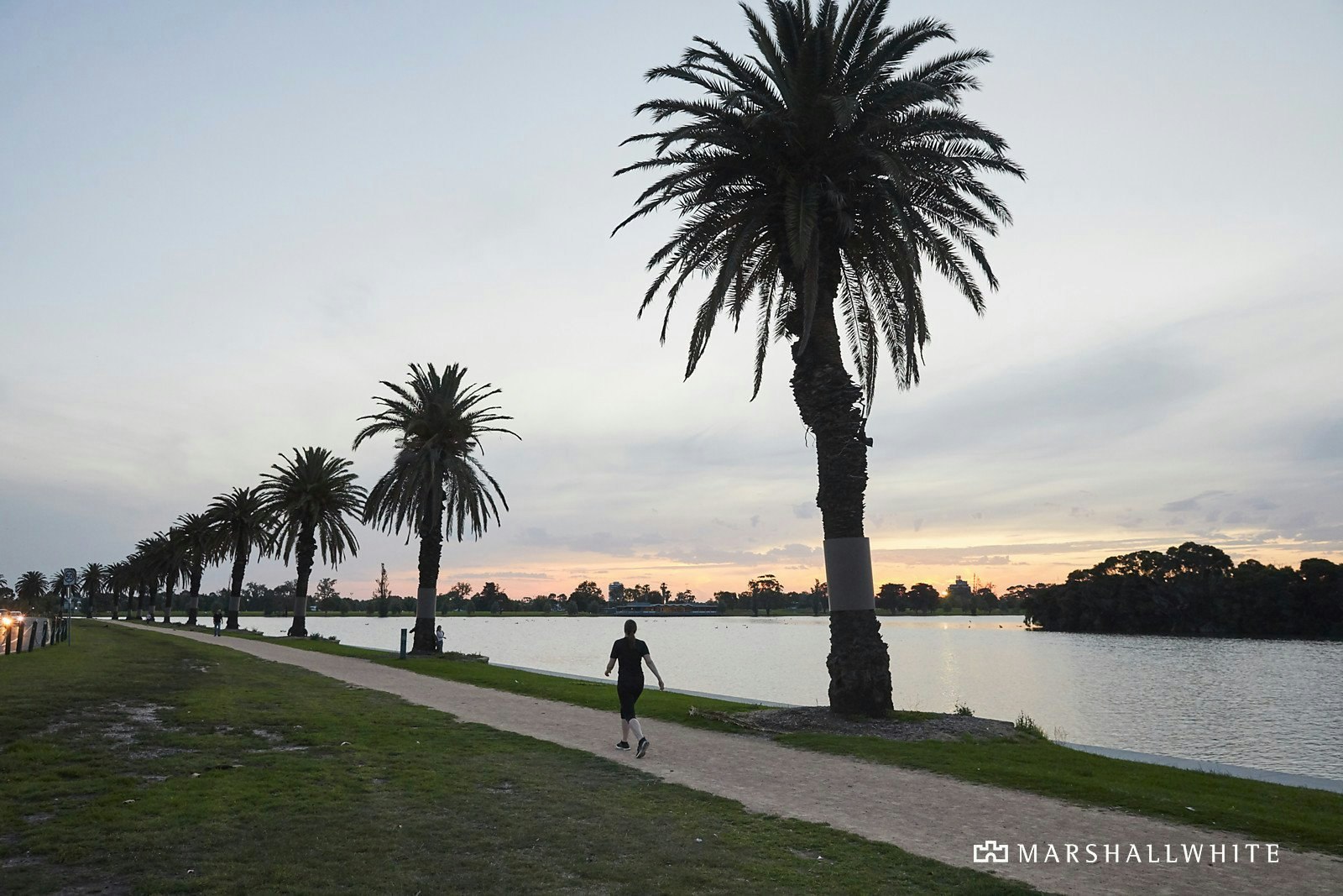 401/99 Palmerston Crescent, South Melbourne, VIC