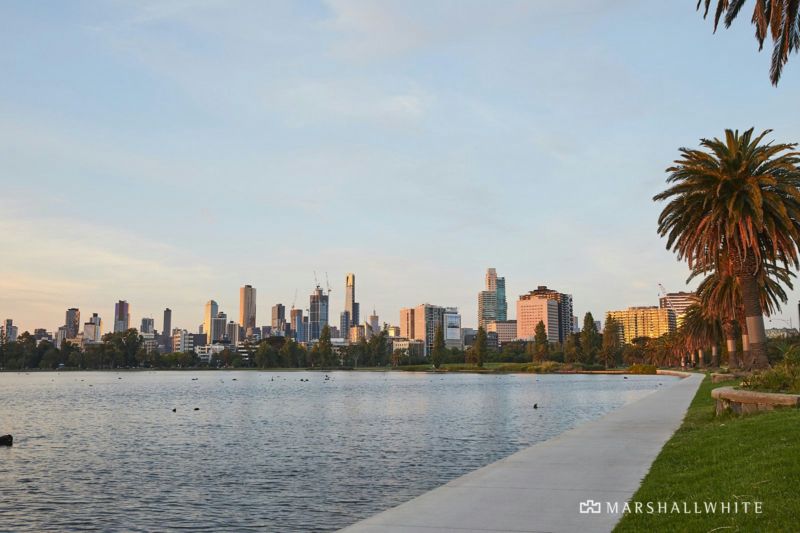 401/99 Palmerston Crescent, South Melbourne, VIC