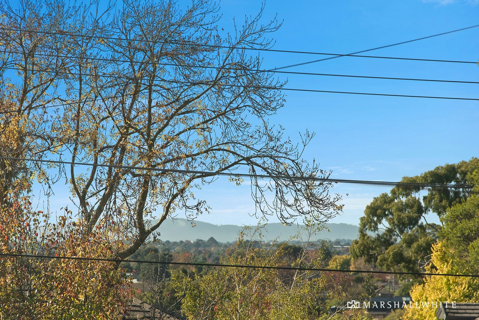 20 Evelina Street, Balwyn, VIC