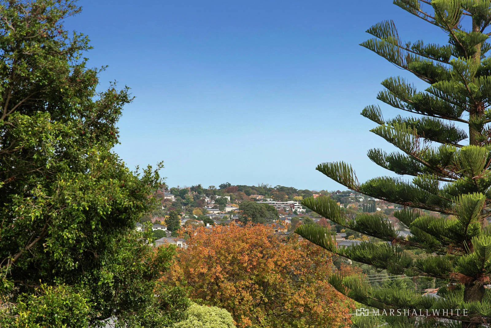 66 Sutton Street, Balwyn North, VIC