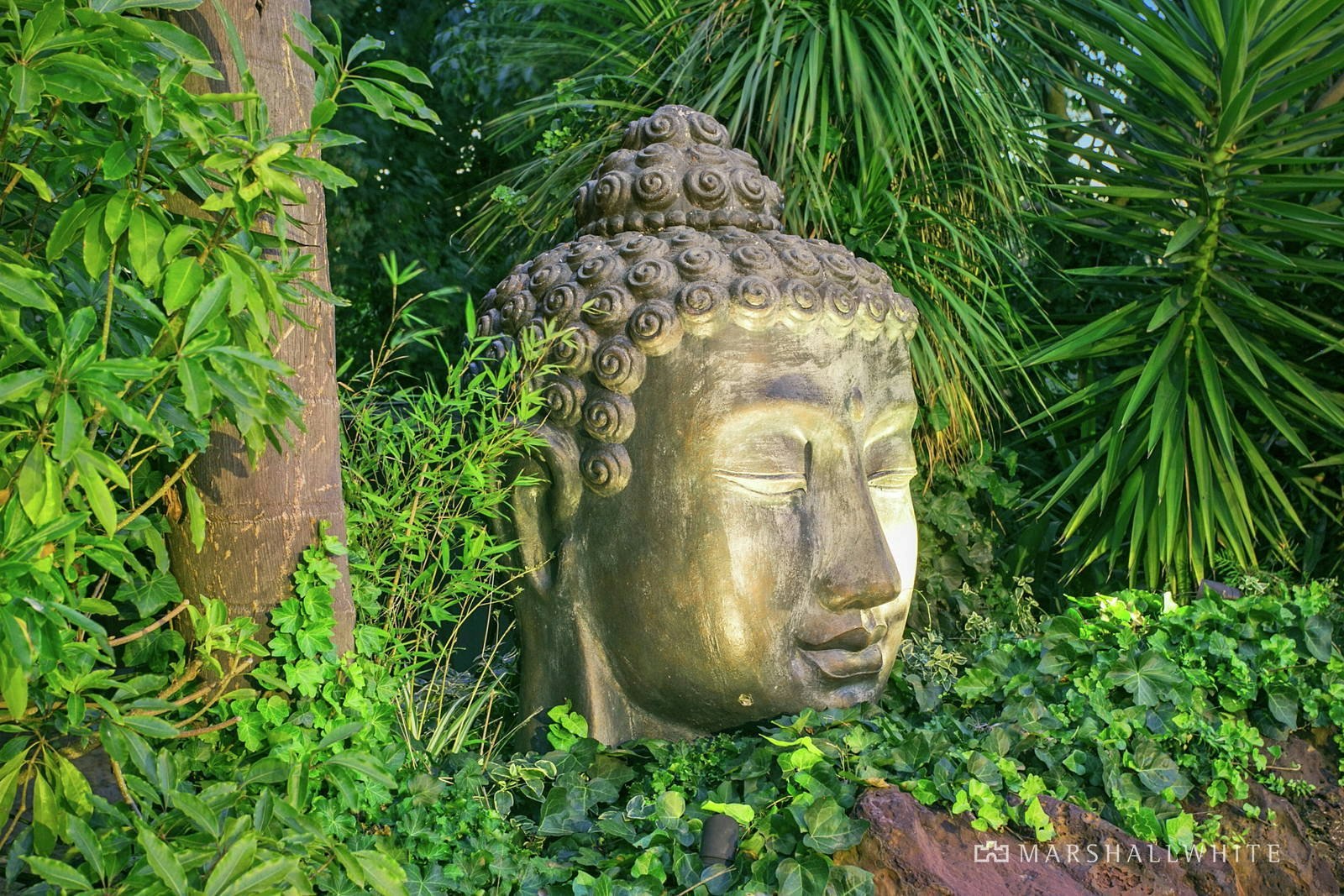 5 Moondah Drive, Mount Eliza, VIC