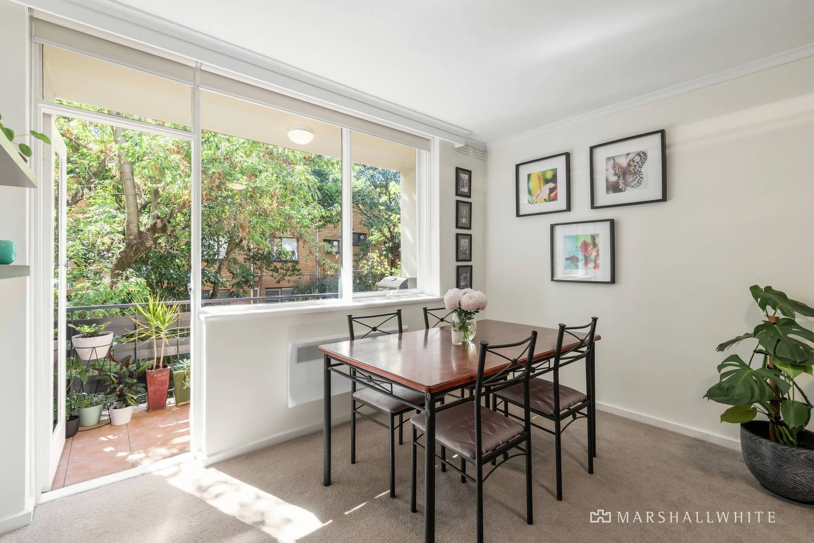 12/36-38 Elphin Grove, Hawthorn, VIC