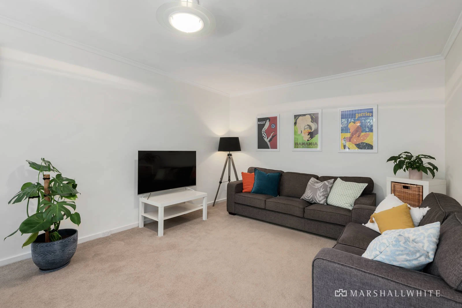 12/36-38 Elphin Grove, Hawthorn, VIC