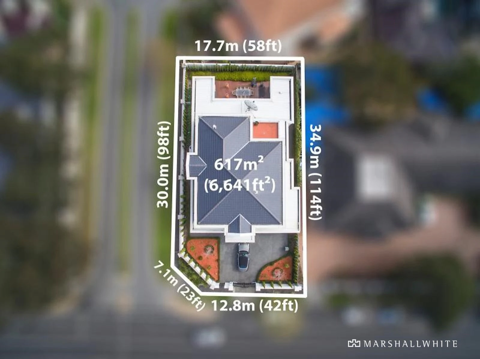 41 Cochrane Street, Brighton, VIC