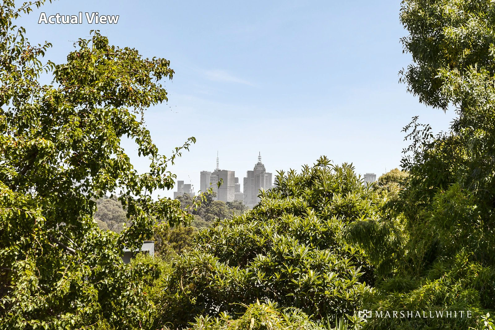 41 Fellows Street, Kew, VIC
