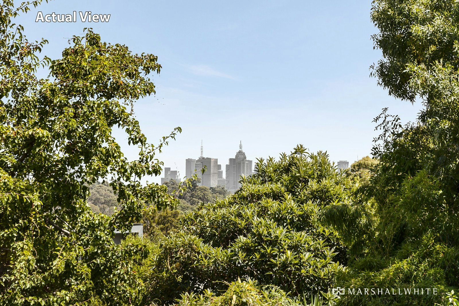 41 Fellows Street, Kew, VIC
