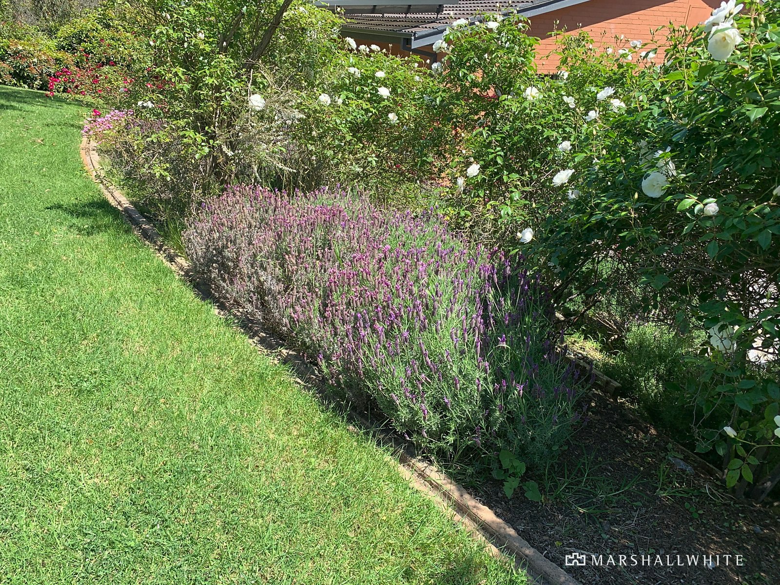 5 Lorrimore Close, Mount Eliza, VIC