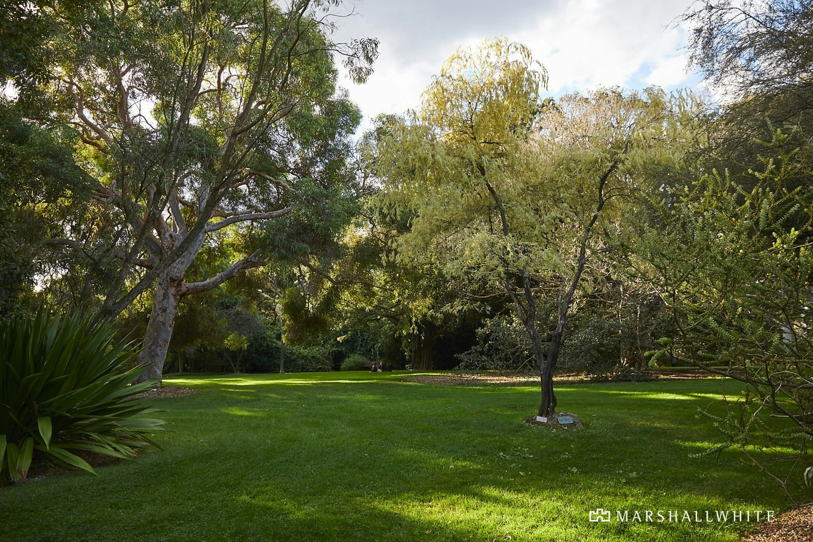 1/495 Whitehorse Road, Balwyn, VIC