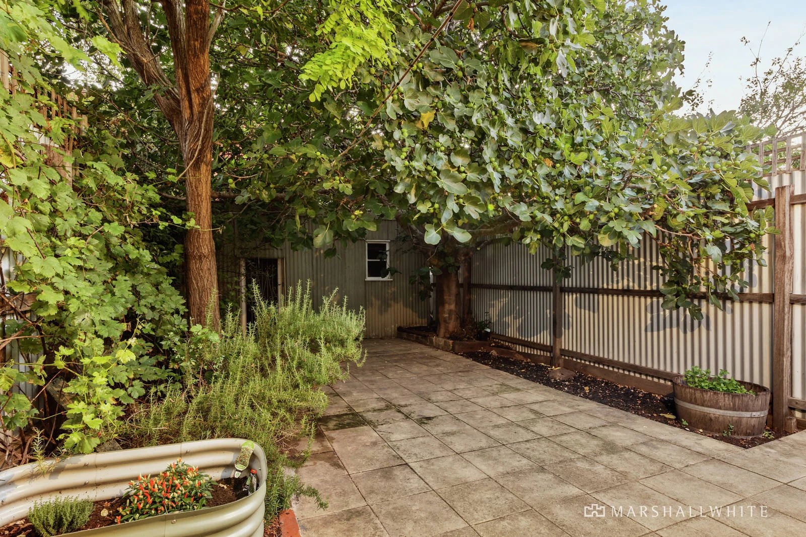 17 Noone Street, Clifton Hill, VIC