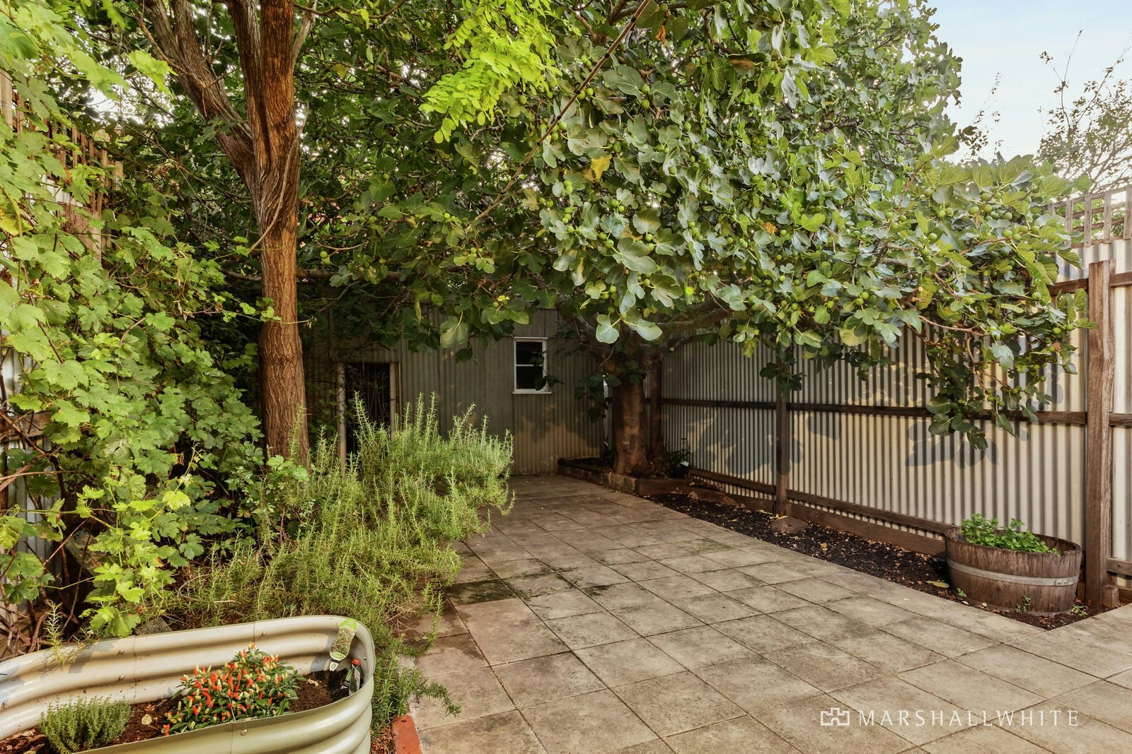 17 Noone Street, Clifton Hill, VIC