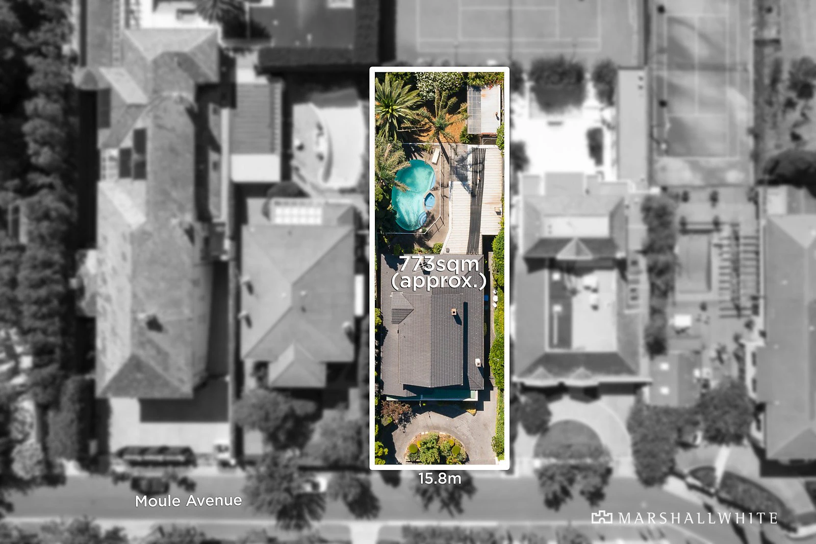 19 Moule Avenue, Brighton, VIC