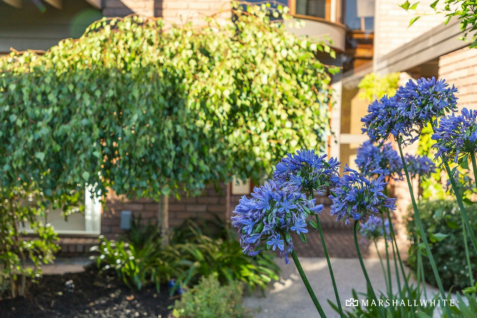 173 Beach Road, Sandringham, VIC