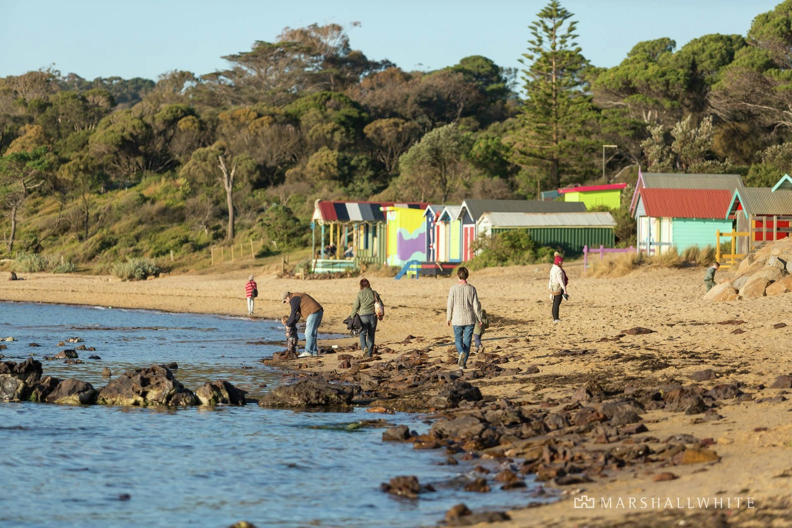 3/14 Macdonald Grove, Mornington, VIC