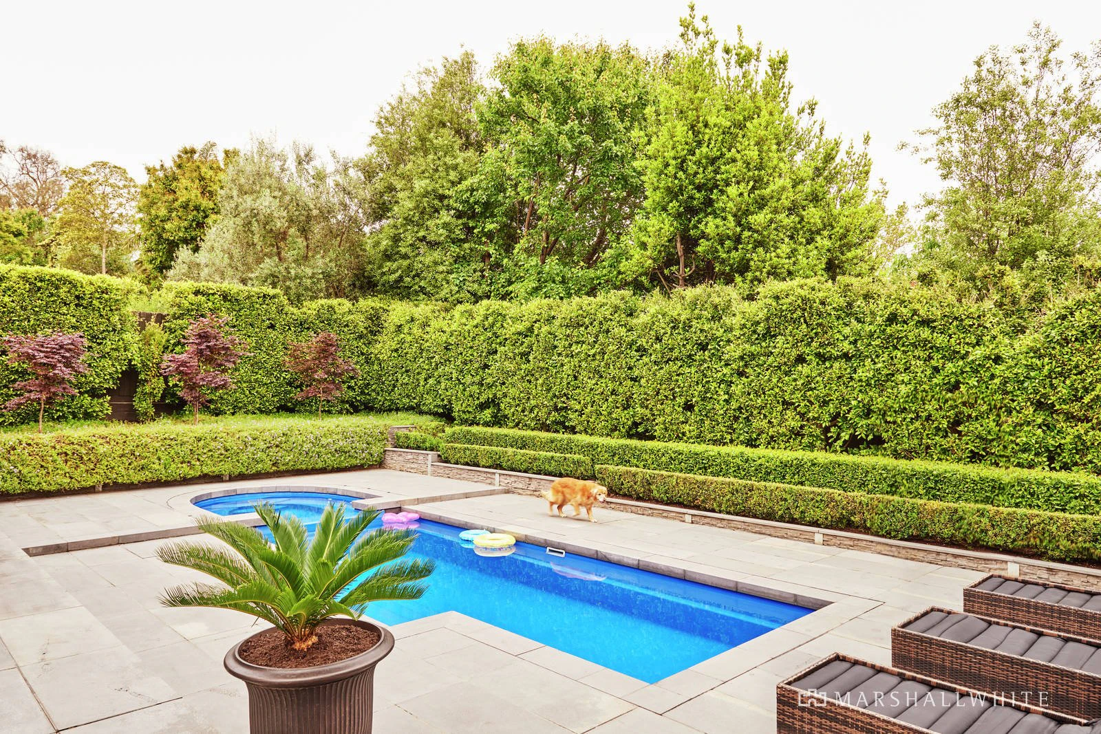 28 Pine Avenue, Camberwell, VIC