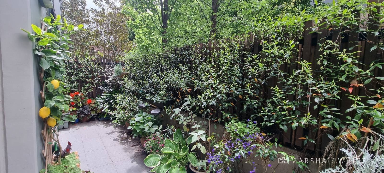 104/6 Lisson Grove, Hawthorn, VIC