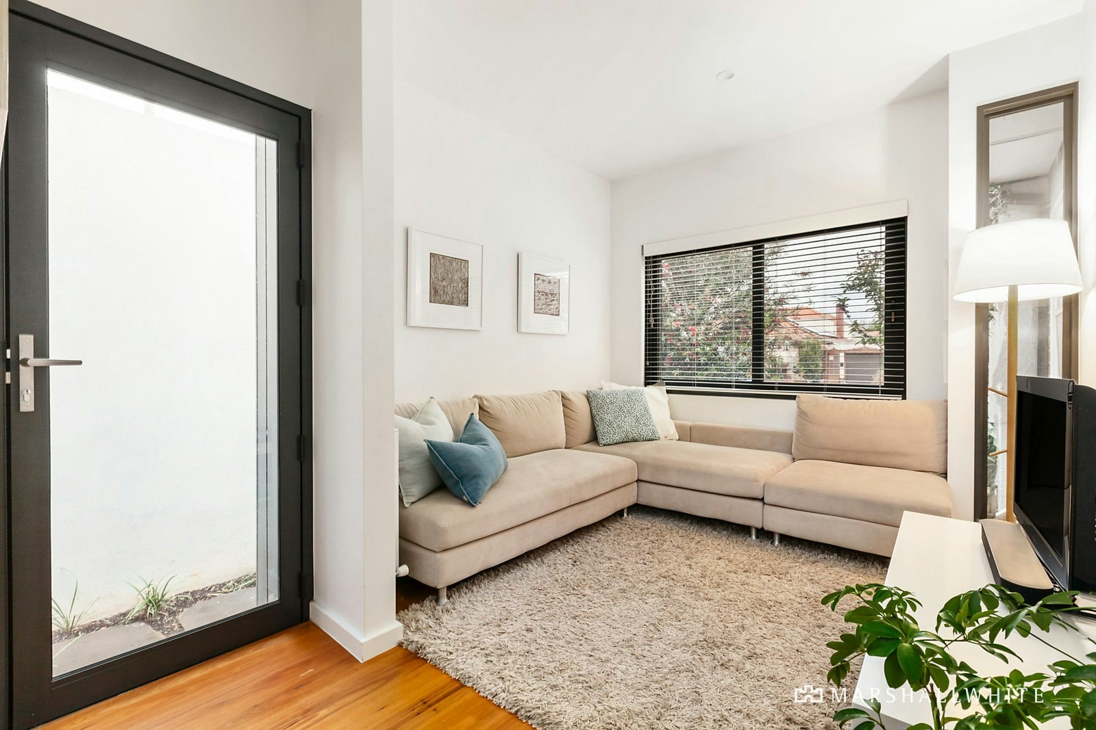 6 McCrae Street, Elwood, VIC