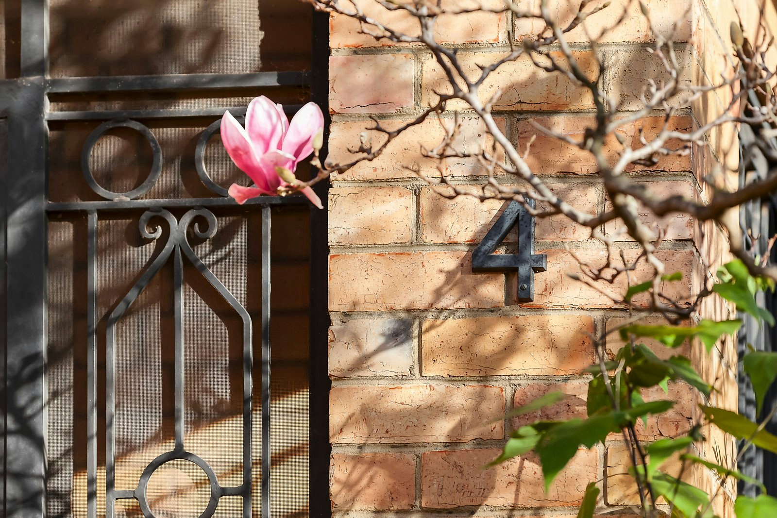 4 Hilda Street, Malvern East, VIC