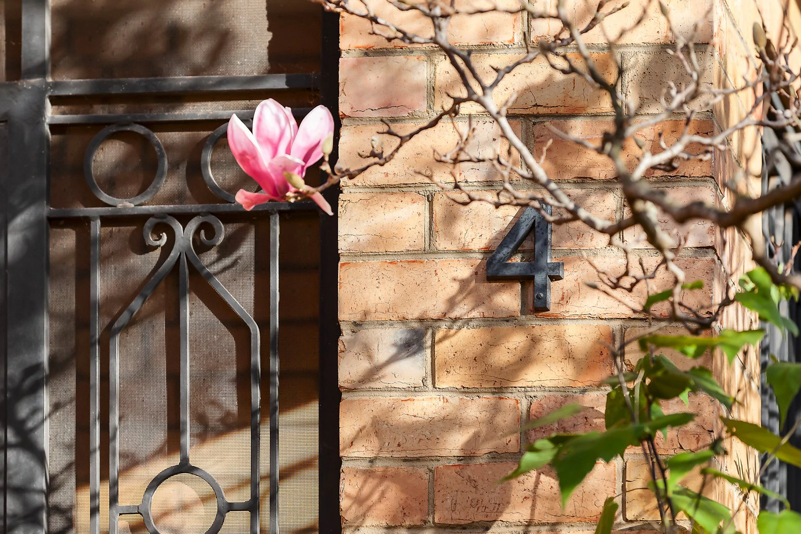 4 Hilda Street, Malvern East, VIC