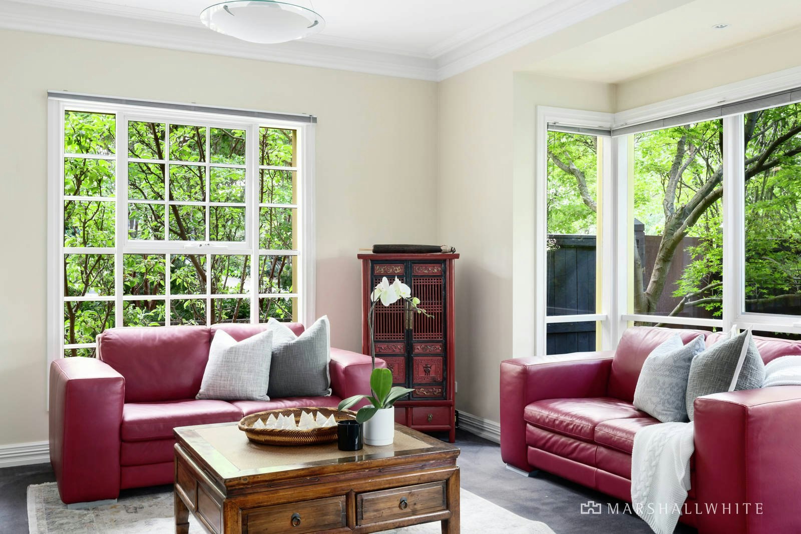 6 Malvern Road, Mont Albert, VIC